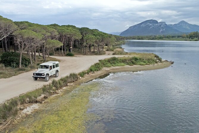 Archeology, visit to a vineyard and wine and pecorino cheese tasting - Spiaggia di Su Barone wetlands: the bird list is the point