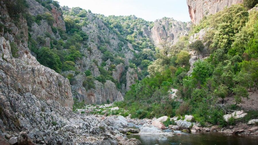 Arzana: Mt. Gennargentu, Piricanis Gorges, & Waterfall Hike - When the woodland shows up (and then disappears)