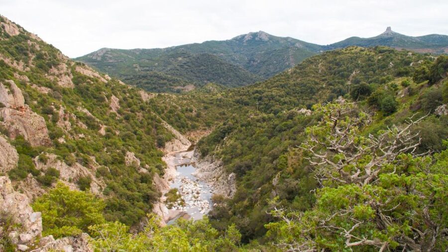 Arzana: Mt. Gennargentu, Piricanis Gorges, & Waterfall Hike - Rio ’e Forru waterfalls: the payoff, with a seasonal reality check