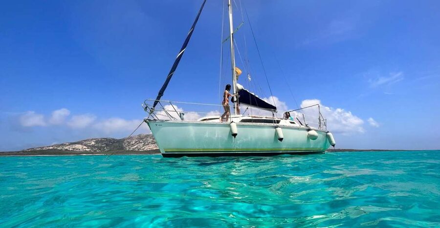 Asinara: Full Day Sailboat Excursion from Stintino - Key Moments That Make This Trip Worth It