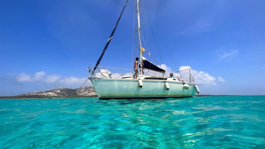 Asinara: Full Day Sailboat Excursion from Stintino - Entering Asinara From Stintino: The Big Idea