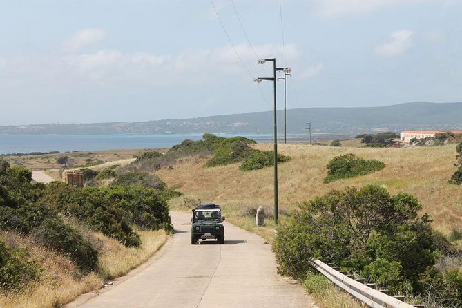 ASINARA ISLAND-TOUR full day Minivan in the National Park - Sea turtle CRAMA: a possible visit with a cash fee