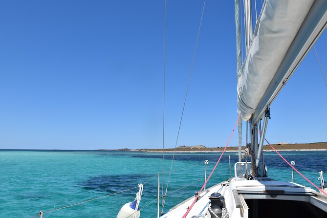 Asinara sailing experience among the coves of the island - Key Things I’d Prioritize on This Asinara Boat Day