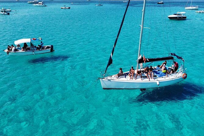 Asinara: Sailing trip in the park of Asinara - Key highlights to look for