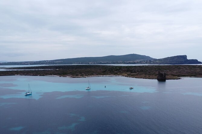 Asinara: Sailing trip in the park of Asinara - Who should book this Asinara sailing trip