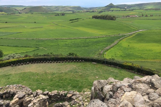 Barumini Unesco Site and Giara of Gesturi Tour from Cagliari - The street art village stop and scenic sightseeing along Road 131