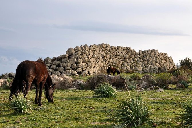 Barumini Unesco Site and Giara of Gesturi Tour from Cagliari - Su Nuraxi at Barumini: what you’re really seeing