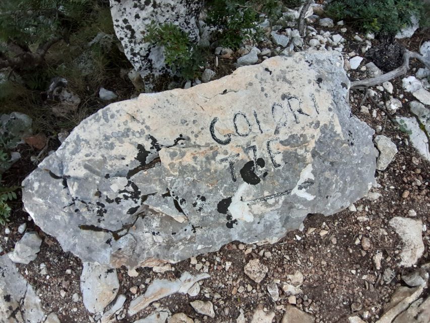 Baunei: Cala Goloritzè Trekking Tour with A Guide - The Mediterranean bush scent: why nature details matter here