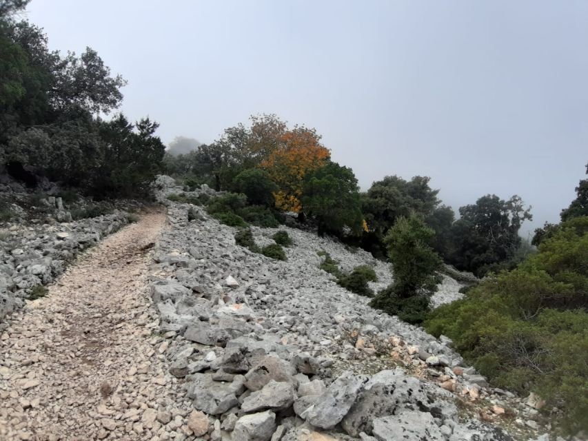 Baunei: Cala Goloritzè Trekking Tour with A Guide - Meeting, timing, and the reality of the return climb