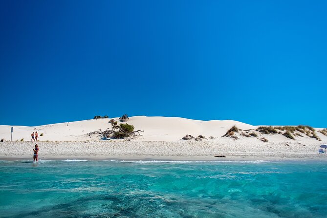 Beach Tour Porto Pino and Piscinnì - Key highlights you’ll actually care about