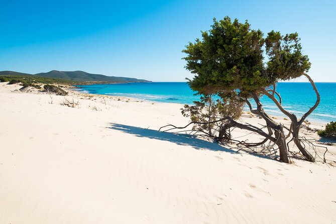 Beach Tour Porto Pino and Piscinnì - Getting to the coast: Cagliari pickup and how the timing works