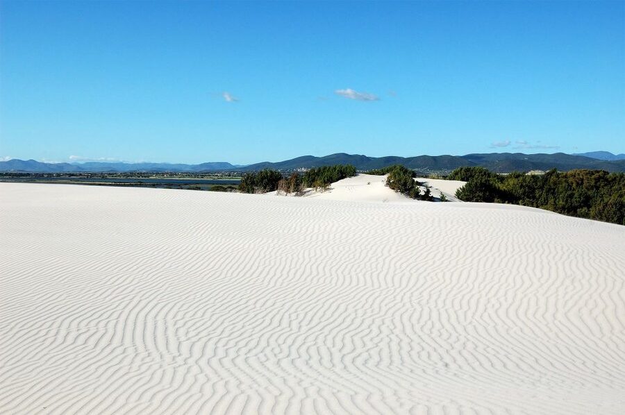 Beach Tour Porto Pino & Piscinnì from Cagliari - Price and value: is $105 a good deal for this kind of day?