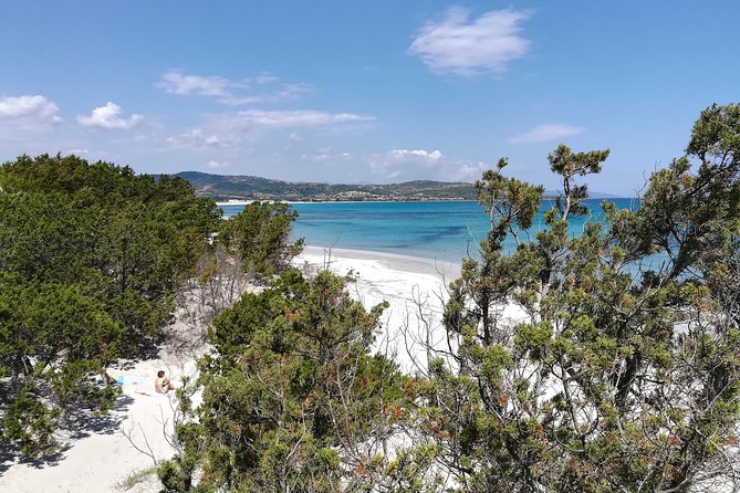 Biderosa and Capo Comino Beach Tour - Key highlights you’ll feel during the tour