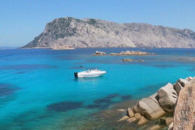 Boat Tour and Snorkeling Golfo di Olbia Private up to 6 people - Key highlights to know before you book