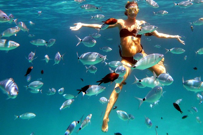 Boat Tour and Snorkeling Golfo di Olbia Private up to 6 people - The 3.5-hour plan: what your morning actually looks like