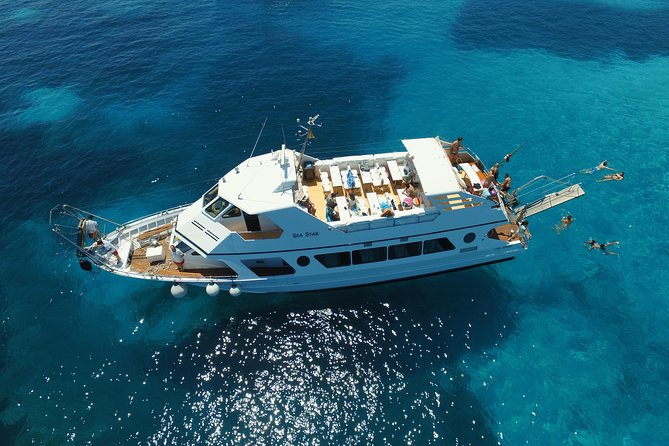 Boat Tour La Maddalena Archipelago from Palau - Palau check-in and parking: the part that can steal your day if you rush