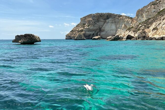 Boat tour the devil's saddle,snorkeling,prosecco and lots of sun - The vibe: a 3-hour sea day with real swim time