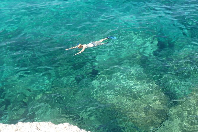 Boat tour to explore the Marine Protected Area of Tavolara - Key highlights worth showing up early for