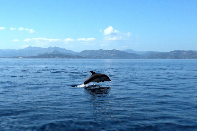 Boat tour to explore the Marine Protected Area of Tavolara - Timing and duration: 3 hours 45 minutes that feels like a real half-day
