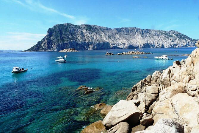 Boat tour to explore the Marine Protected Area of Tavolara - Snorkeling kit, drinks, and snacks: the small inclusions that matter