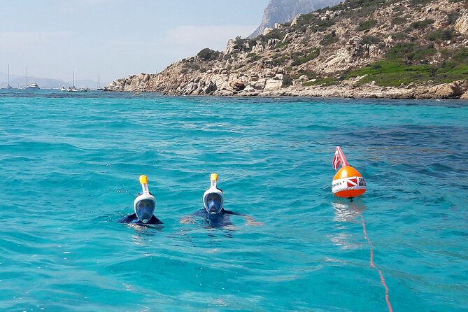Boat tour to explore the Marine Protected Area of Tavolara - Meeting point in Olbia: Blue Way area logistics (and why location matters)