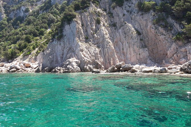Boat tour to explore the Marine Protected Area of Tavolara - Stop 1: Punta Coda Cavallo and the Capo Ceraso swim spots