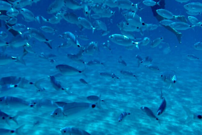 Boat Tour to Sella del Diavolo: Snorkeling, GoPro & Beer - Sella del Diavolo: The Devil’s Saddle and why it’s reached by sea