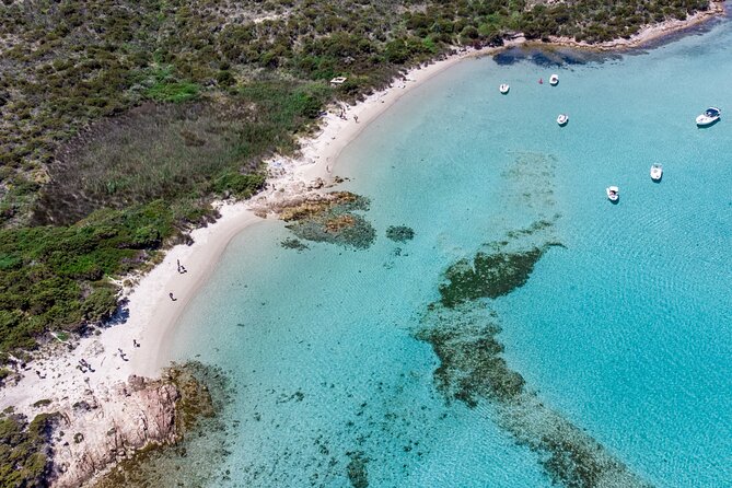 Boat trip La Maddalena Archipelago - Departure from Palau - Boat Size, Crowds, and Timing Tips That Make a Difference