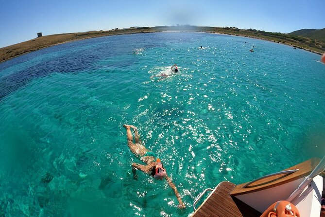Boat trip to Asinara with lunch in Stintino - Price and value: is $142 a fair deal?