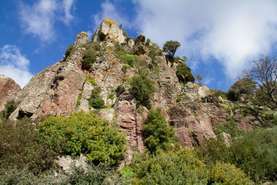 Bosa: Coast and Country Guided Quad Bike Tour - Key Things You’ll Remember From This Quad Tour