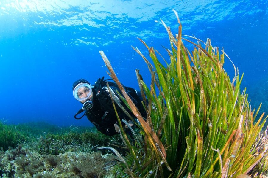Bosa: Scuba Diving for Beginners in the Bosa Gulf - Where the Bosa Gulf session starts (and why that matters)