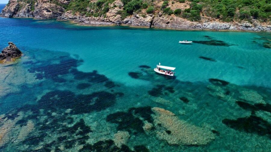Bosa: Snorkeling Tour of the Coastline Coves - Griffon vultures: watching a real nesting colony