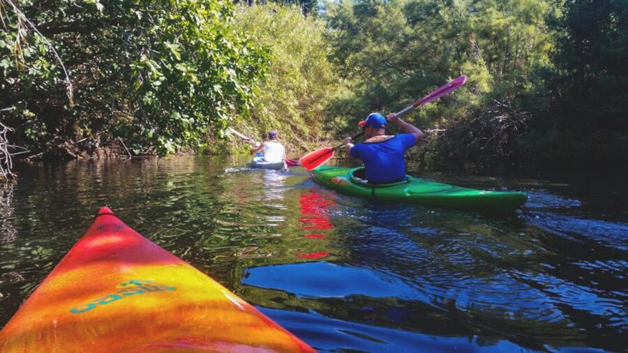Bosa: Temo River Kayak Rental - Should You Book the Bosa Temo River Kayak Rental?