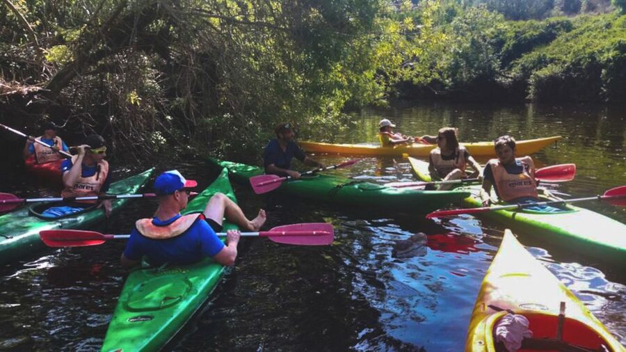 Bosa: Temo River Kayak Rental - Why Kayak the Temo River from Bosa?