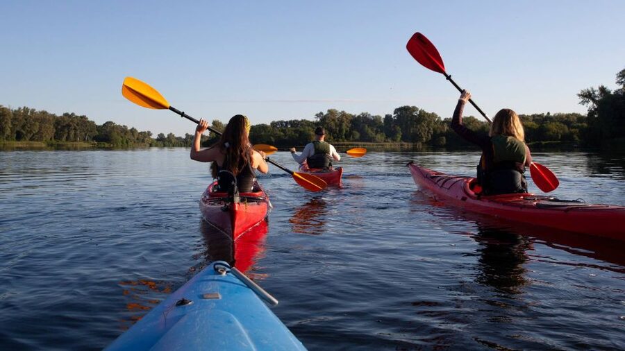Bosa: Temo River Kayak Rental - Price and Value: Is $54.09 Worth It?