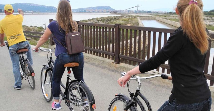 Cagliari: Bike Tour in the Flamingo Oasis - Molentargius Natural Park: where the salt-pond story becomes real