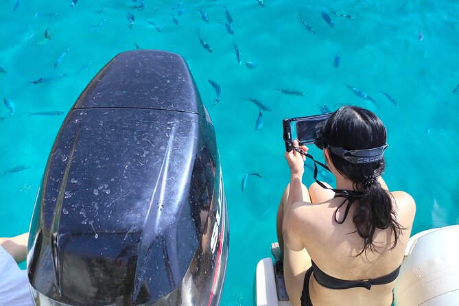 Cagliari Boat Tour with Sardatrips; Swim, Snorkeling, Sip & Snack - Key highlights worth planning for