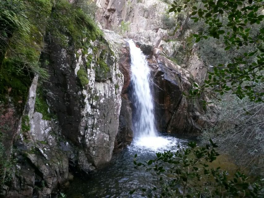 Cagliari: Canyoning in Sardinia - Safety and the guide approach (including Mauri’s style)
