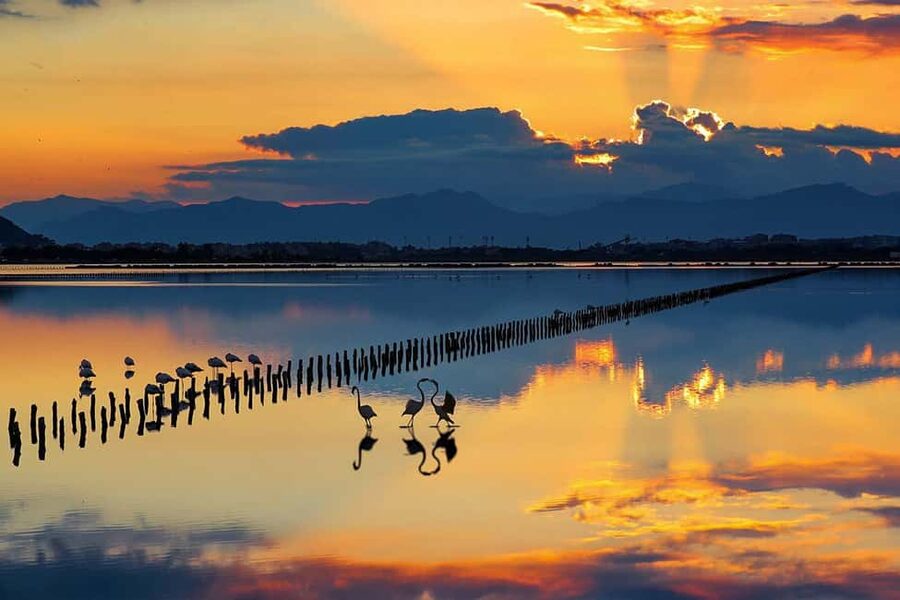 Cagliari City tour and Flamingos Park by minivan and walking - Price and value: is $88 worth it?
