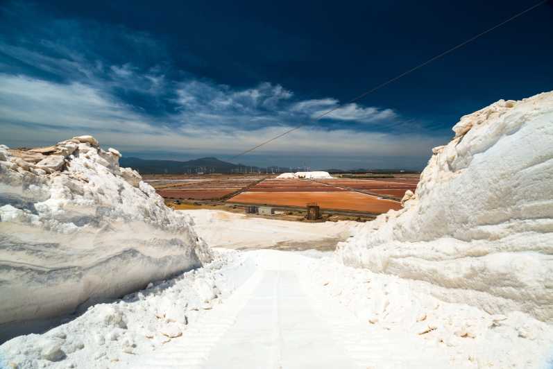 Cagliari: Conti Vecchi Salt Flats Train and Tour - Key things to know before you go
