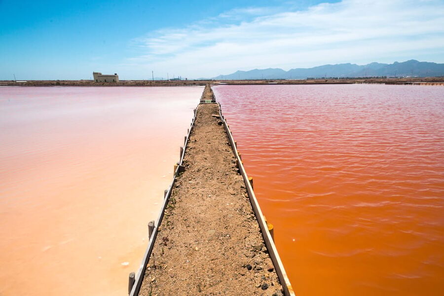 Cagliari: Conti Vecchi Salt Flats Train and Tour - The scenic train ride into Santa Gilla Basin: flamingos, salt pans, and wetland reality