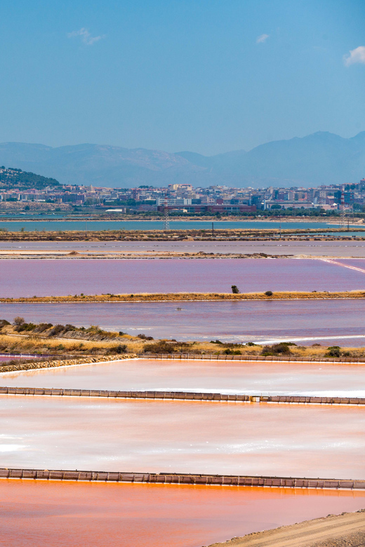 Cagliari: Conti Vecchi Salt Flats Train and Tour - Macchiareddu and wandering the saltpans: seeing how it tied to daily life