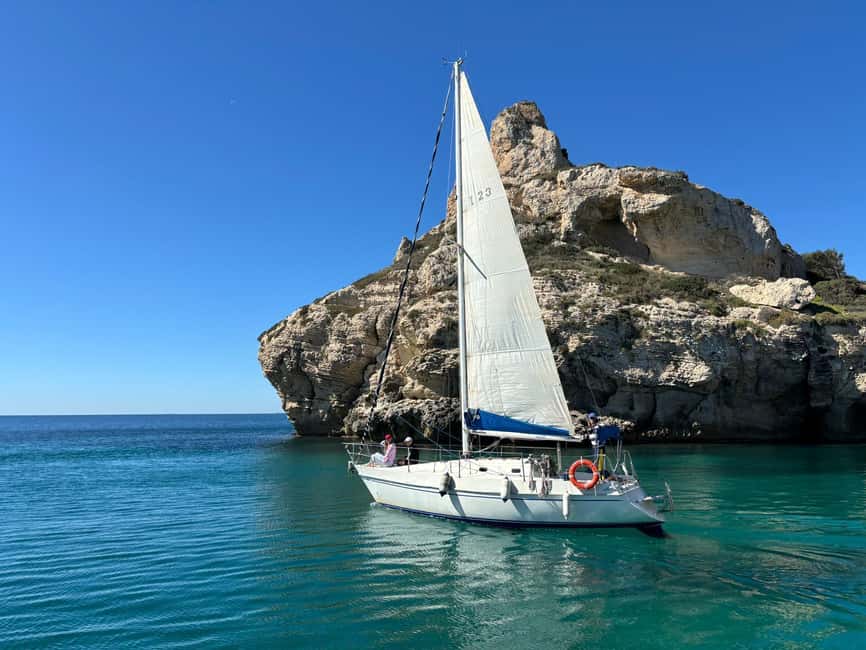 Cagliari: Devil's Saddle Sailboat Tour, Snorkeling and Drink - Wildlife spotting: dolphins and cormorants on the hunt