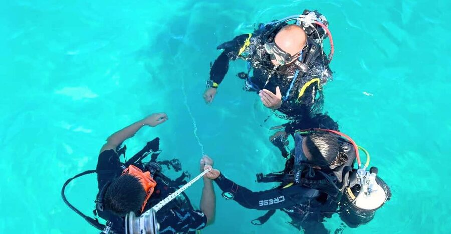 Cagliari: Discover scuba diving for Beginners - First Steps: What This Beginner Scuba Session Feels Like