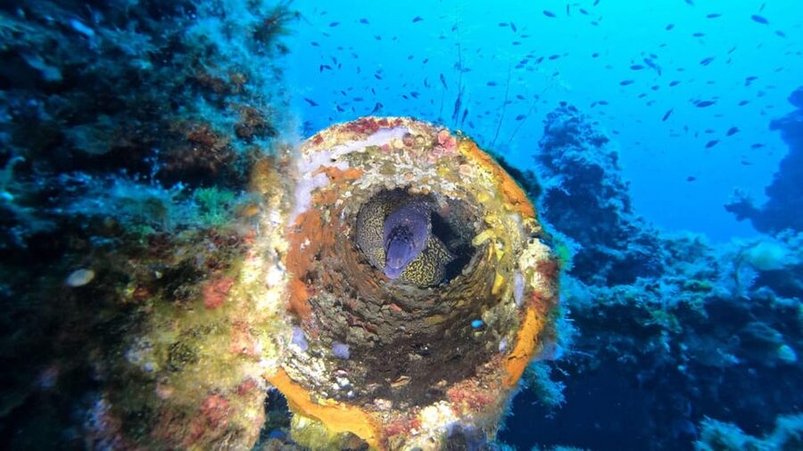 Cagliari: Discover scuba diving for Beginners - The 2.5-Hour Schedule: From Gear Up to Time in the Water