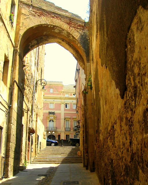 Cagliari Half-Day Private Sightseeing Tour - Bastion of Saint Remy to the Marina Quarter fish-and-life finish