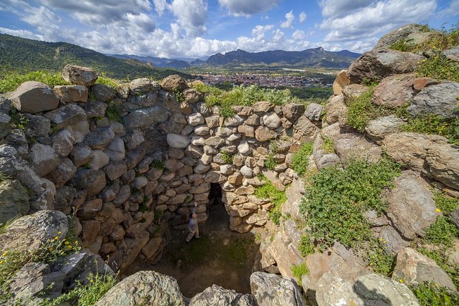 Cagliari: Is Cannoneris Nature Reserve Jeep and Walking Private Tour from Chia - Should you book this tour?