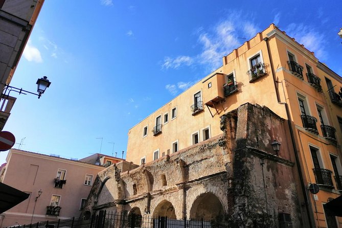 Cagliari: natural cultural walking, food wine tasting experience - Giardino sotto le Mura: Limestone, Old Trees, and Sound Stones