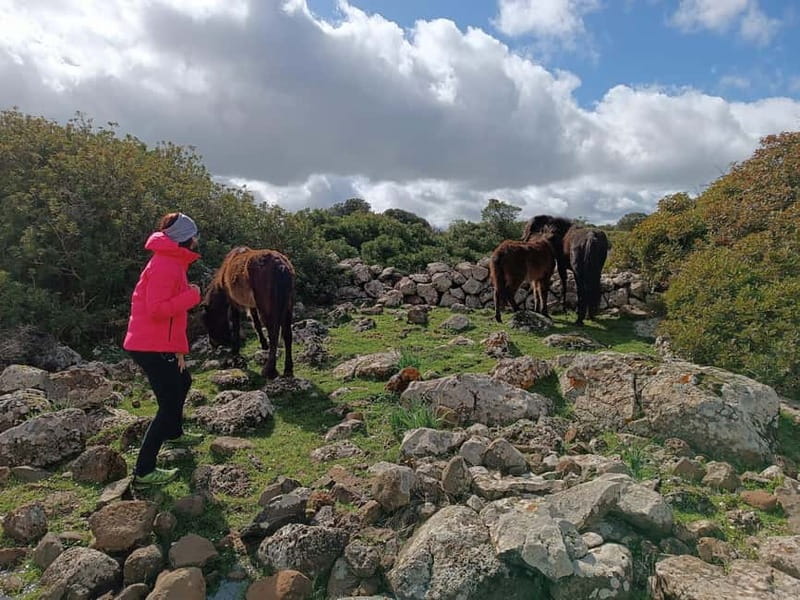 Cagliari: Nuraghe Barumini and Giara Park with Wine Tasting - Sardinian wine tasting: simple, included, and timed well