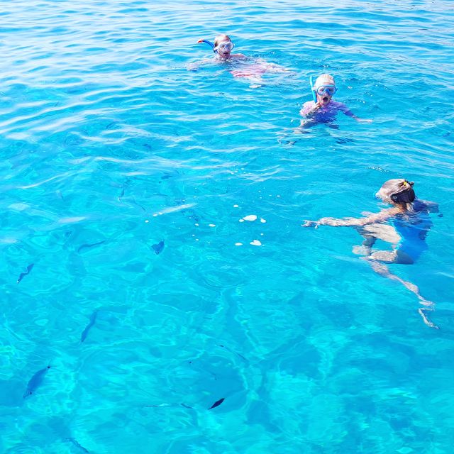 Cagliari: Private or Small Group Fishing Trip Experience - Learning net fishing: the hands-on part that turns sightseeing into a skill